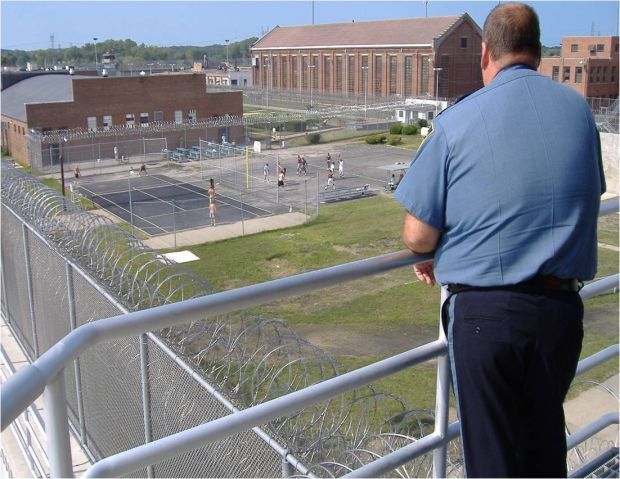 Low-level felons